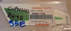 Kawasaki Adesivo Decalcomania Cupolino ZX-9R 2000 cod.560631526 Verde/viola - Foto 1 di 2