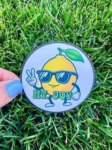 Mt. Joy Lemon Tree Adesivo Vinile Slap Laptop Bicchiere Tazza 3" x 3" Finitura Opaca - Foto 1 di 1