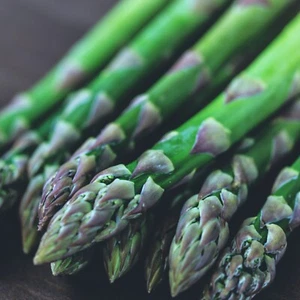 Asparagus Connover's Colossal Winter Vegetable Seeds - 150 Organic Seed - Picture 1 of 1