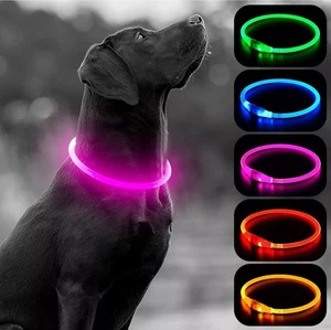 LED Hundehalsband USB Wiederaufladbar Leucht Hundehalsband Leuchtet im Dunkeln FARBE PINK - Bild 1 von 6