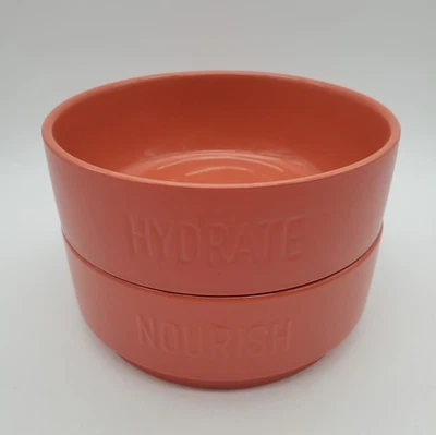 Dog Bowl Set Stoneware Nourish & Hydrate Orange 6.5 inches - Image 1 of 4