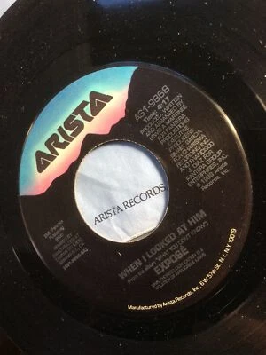 Expose 7” Vinyl 45 When I Looked At Him 2 Mixes 1989 Arista LP What You Don’t Foto 1 de 4