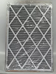 Arm & Hammer Max Allergen & Odor Reduction Air & Furnace Filter 20x30x1 | 4-Pack - Picture 1 of 3