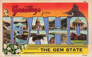 Large Letter Greetings form Idaho "The Gem State" Posted Vintage PC - Picture 1 of 2