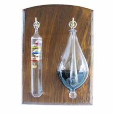 Gallilei-Thermometer And Weather Glass, Goethe Barometer On Classy Wall Board