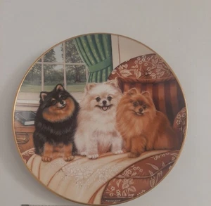 Piatto Danbury come nuovo Pomeranians Three's Company cucciolo cane animale decorazione - Foto 1 di 3