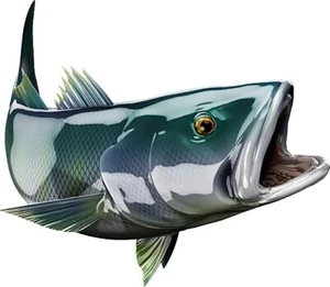 White Seabass Vinyl Sticker Fish Decals for Boat Car Vehicle Truck Fishing - Foto 1 di 13