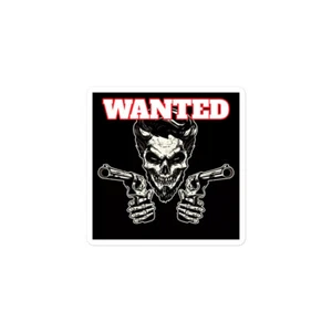 WANTED OUTLAW Bubble-Free Sticker - Picture 1 of 5
