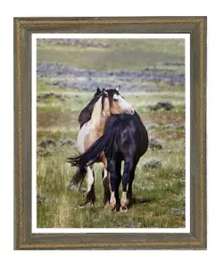Framed Equine Photography Print "Like Brothers" - Picture 1 of 3