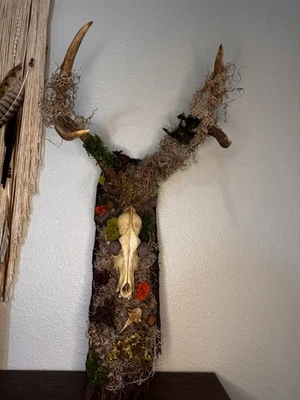 The Shaman’s Ascent Foto 1 de 4