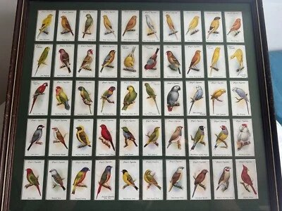 Player's - Aviary and Cage Birds  (1933) -  Full Set - 1-50 Framed - 44.5cm Tall - Image 1 of 4
