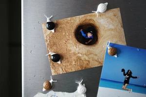 QUALY SNAIL MAGNET  - Bild 1 von 5