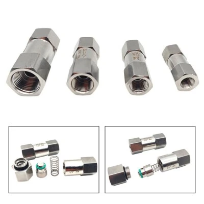 304 STAINLESS STEEL Zuverlässige Rückflussverhinderung mit 1/4 NPT Rückschlagventil in Edelstahl