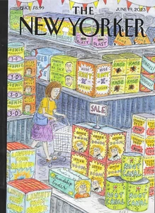 New Yorker Magazine Pilvi Takala Dowry Killings Epidemic Daniel Bard Fiction - Picture 1 of 12