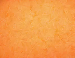 Tonga Batik Fabric By Half-Yard Ivory Floral on Light Orange Premium Cotton #8 - Picture 1 of 2