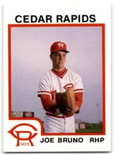 1987 ProCards Joe Bruno Cedar Rapids Reds #1021