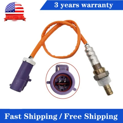 Sensor de oxígeno O2 aguas abajo para Ford Fiesta 1,6 L L4 2016 2017 2018 2019 234-4555 Foto 1 de 4