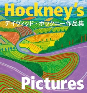Book David Hockney Art Book Japanese Single volume - Picture 1 of 6