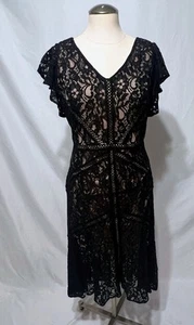 Taylor Women’s Dress Size 10 Black Lace Sleeveless  - Picture 1 of 5
