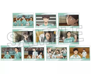 Juego completo de pegatinas comerciales Haikyu Aoba Josai High School 10 tipos usadas - Imagen 1 de 1