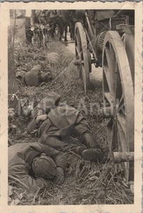 Foto,4./A.R.42, Schlafen auf der Straße in Flandern 1940,  XT55267 - Bild 1 von 2