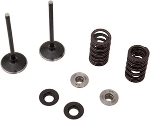 Moose Intake Valve Kit for Yamaha YZ250F 4-Stroke 2019 - Picture 1 of 1