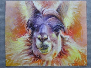 LLAMA Animals Original Watercolor Acrylic Painting Art By Artist - Picture 1 of 2