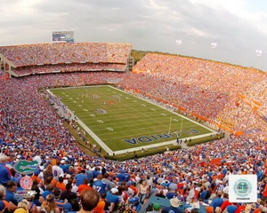 16 X 20 Ben Hill Griffin Stadium Florida Gators Foto AAJH045 - Imagen 1 de 1