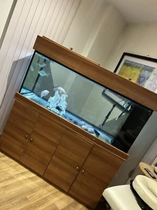 AQUARIUM 450 LITRES - Picture 1 of 4