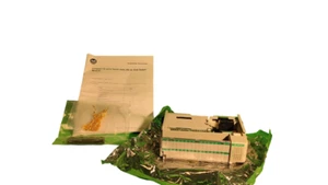 Rockwell 1769-OV32T  32 Point Terminated 24VDC Sinking Output Module - Bild 1 von 2