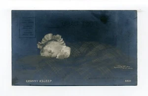 Antropomórfico Gato Durmiente Gorro Abuela Dormida RPPC Foto Postal Rotógrafo - Imagen 1 de 2