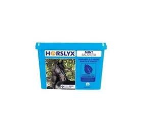 Horslyx Mint Lick Refill 5kg x1 or x2 Horse Balancer Food Feed - Picture 1 of 1