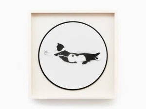 Sophie Calle - Souris Calle (Edizione Di Lusso) - Foto 1 di 7