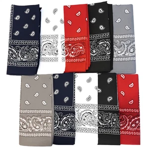 10 Pack Bandanas Paisley Print Cowboy Bandana Handkerchiefs 5 Colors - Picture 1 of 7