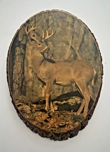 Vintage Baumscheibe Decoupage Hirsch Druck Wisconsin Dells hängende Wandkunst - Bild 1 von 9