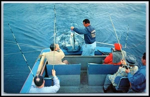 Cartolina Pesca al Salmone Costa dell'Oregon Cattura Salmone D64 - Foto 1 di 2