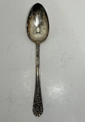 Wm Rogers Mfg. "Cuchara perforada para servir plato de plata Co 1953 Jublilee 8,5""" Foto 1 de 4