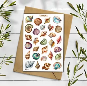 Seashell Sticker Sheet. Sea Shell Stickers. Ocean Beach Stickers. Scrapbooking - Picture 1 of 5