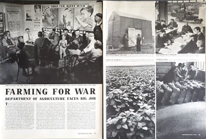 ARTÍCULO IMPRESO Agricultura para la guerra 1943 Segunda Guerra Mundial Carne Vegetales Agricultura 8 Ppg - Imagen 1 de 4