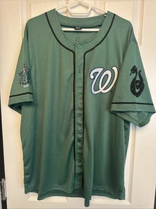 Harry Potter Washington Nationals Jersey Adult XL Green Slytherin Baseball RARE - Picture 1 of 7