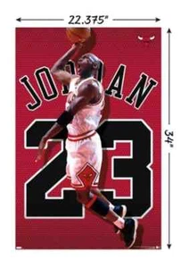 Camiseta Michael Jordan AllPosters Chicago Bulls 22,375x34" Nueva - Imagen 1 de 1