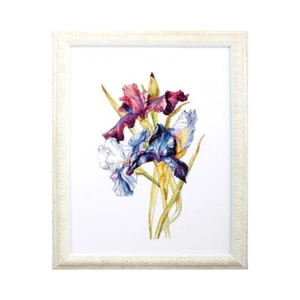 Irises rainbow M580 RTO Counted Cross Stitch Kit - Picture 1 of 2