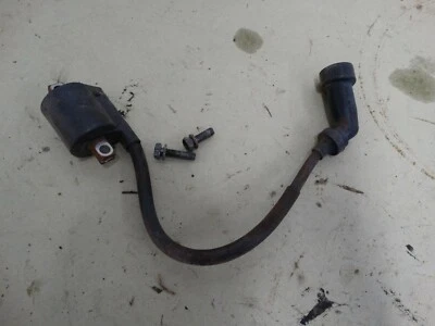 Yamaha Bear Tracker 250 2000 OEM bobina de encendido B320 Foto 1 de 4