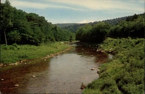 Shavers Fork at Cheat River Bridge on US #250 USA,WV West Virginia Postcard - Picture 1 of 2