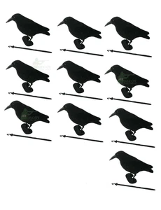 Flocked Crow Full Body Decoys, Pack Of 10 High Quality Corvid Rook Decoys - Picture 1 of 6