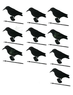 Flocked Crow Full Body Decoys, Pack Of 10 High Quality Corvid Rook Decoys - Image 1 of 4