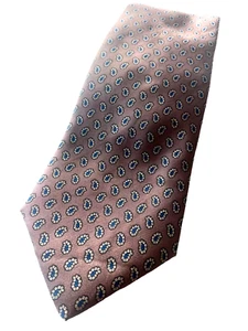 Woodward & Lothrop Men's Silk Tie Classic Brown and Blue Paisley Design 57 x 3.5 - Picture 1 of 3