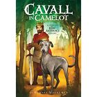 Cavall in Camelot #1: A Dog in King Arthur's Court? (Ca - Paperback / softback N