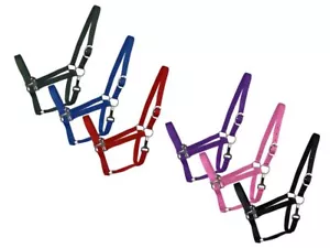Supporto pannocchia nylon 2 strati - Foto 1 di 8