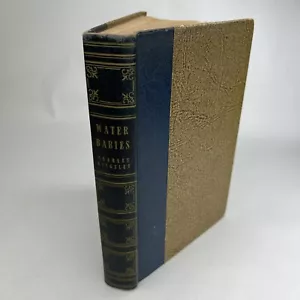 The Water-Babies by Charles Kingsley Art-Type Edition Books Inc Vintage 1945 - Bild 1 von 21
